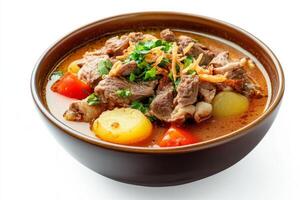 A bowl of stew with meat and vegetables photo