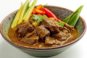 A bowl of beef and vegetables with a green leaf photo