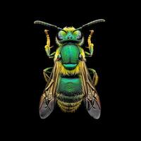 A green and yellow bee on a black background photo