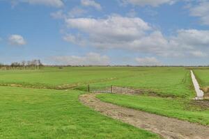 A field with a dirt path photo
