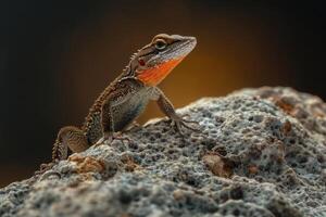A lizard with red eyes sitting on a rock photo