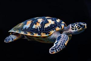 A turtle is swimming in the dark photo