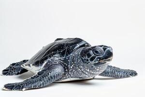 A turtle is shown on a white background photo