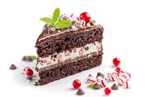 A slice of chocolate cake with peppermint leaves photo