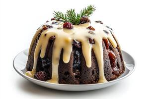 A christmas pudding with icing on top photo
