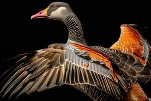 A close up of a bird with its wings spread photo
