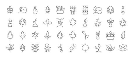 Collection of Icons of leaves, gardening, nature. Suitable for books, stores, shops. Editable stroke in minimalistic outline style. Symbol for design vector