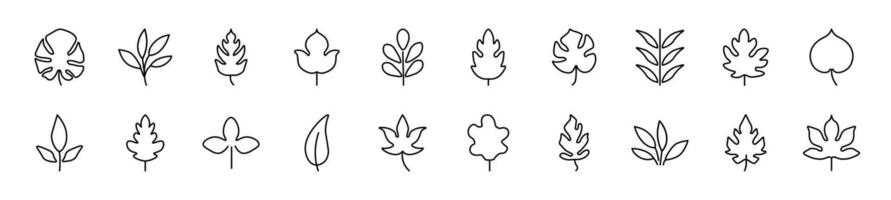 Set of line icons of leaf. Editable stroke. Simple outline sign for web sites, newspapers, articles book vector