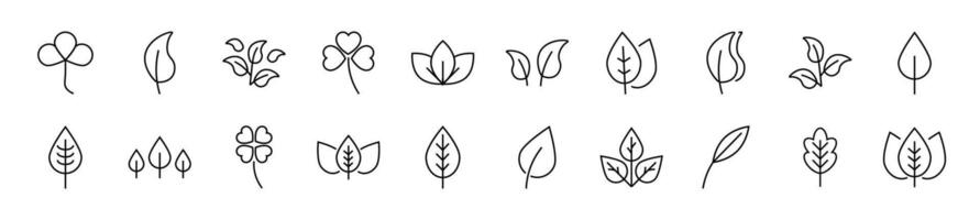 Bundle of linear symbols of leaf. Editable stroke. Linear symbol for web sites, newspapers, articles book vector