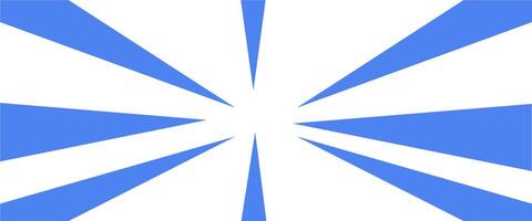 A blue and white starburst pattern vector