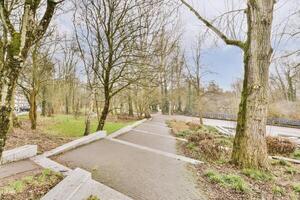 A path in a park photo
