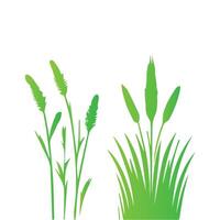 Grass and reeds vector