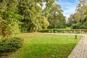 A walkway in a park with trees and grass photo