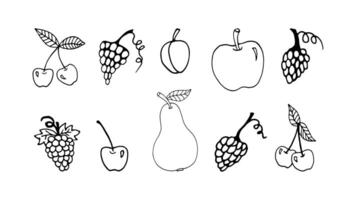 Hand drawn summer fruits with cherry, grape, pear, plum, apple. Doodle illustrations for menu vector