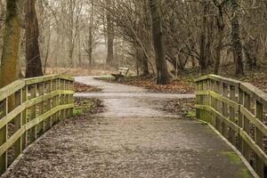 A wooden bridge over a path in the woods photo