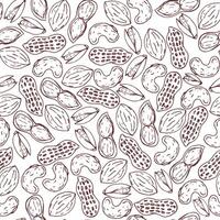 Seamless pattern with nuts and seeds vector