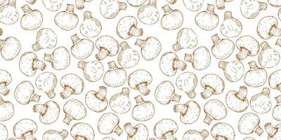Mushrooms on white background vector
