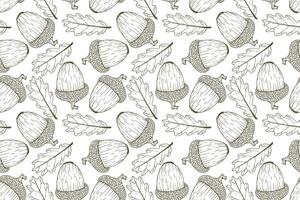 A seamless pattern with acorns and leaves vector