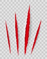 trace of scratches with claws until blood illustration isolated on background vector