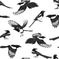 Seamless pattern with magpie, flying bird. Hand drawn illustration. vector
