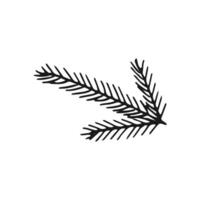 Hand drawn coniferous branch. illustration of pine and spruce branches vector