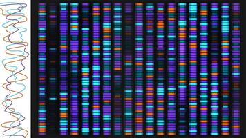 Dna sequence map bg. Genetic data visualization with chart for medical pattern analysis. Science graph texture illustration for genome research. X and y chromosome evolution test profile. vector
