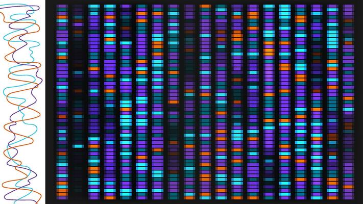 Dna sequence map bg. Genetic data visualization with chart for medical pattern analysis. Science graph texture illustration for genome research. X and y chromosome evolution test profile.