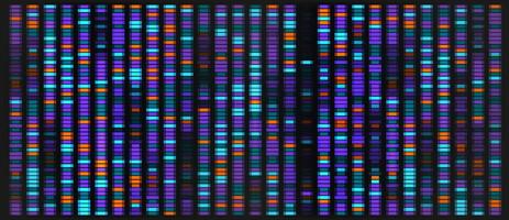 Dna sequencing map. Genetic chromosome data visualization with pattern background. Abstract gene graphic architecture for infographic analytics. Research marker profile mapping wallpaper. vector