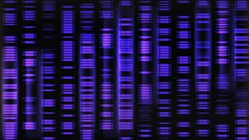 Dna sequence data map. Chromosome gene pattern visualization for medical research illustration. Abstract science molecule marker mapping architecture texture. Purple neon music strip glitch design. vector