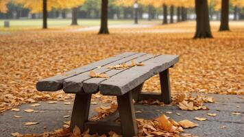 Empty Park Bench with Fallen Leaves photo