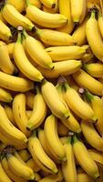A bunch of bananas are piled together photo