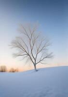 Serene Snowy Landscape with a Lone Bare Tree Branch photo
