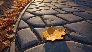 Single Leaf on Stone Pathway photo