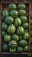 Watermelon in a wooden crate photo