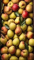 A box full of pears with leaves on them photo