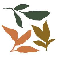 Abstract botanical seamless pattern. Natural hand drawn design with leaves branch. vector