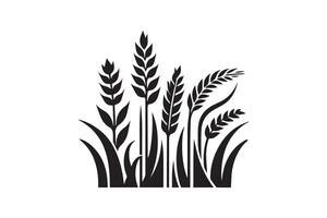 illustration of wheat field on white background vector