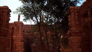 An old building with a tree in front of it video