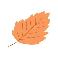 Minimalist illustration of an isolated autumn leaf in warm yellow tones, perfect for seasonal designs, eco-friendly themes, and nature-inspired projects vector