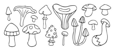 Whimsical mushroom doodles in black and white, featuring various fungi shapes in a playful, hand-drawn style. Perfect for nature-themed designs and illustrations vector