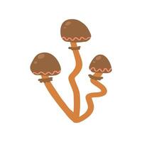 Brown wild mushrooms in a nature-inspired illustration. Perfect for autumnal designs, foraging guides, organic food themes, and forest-related projects vector