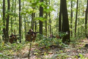 A specialized military antiterrorist unit conducts a covert operation in dense, hazardous woodland, demonstrating precision, discipline, and strategic readiness photo