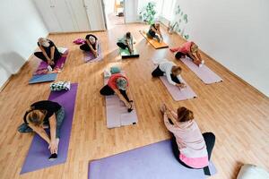 A group of senior women engage in various yoga exercises, including neck, back, and leg stretches, under the guidance of a trainer in a sunlit space, promoting well-being and harmony photo