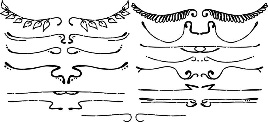 A set of different facial shapes and lines