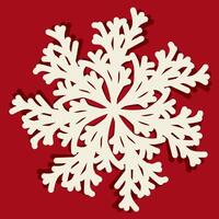 snowflake shaggy simple winter vector