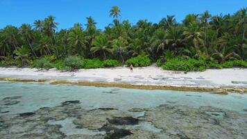Man on tropical coastline beach with palms trees and ocean. Drone view video