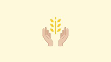 Animation of hand holding wheat. suitable for agricultural content, nature content or world farmer's day. 2d animation 4k. Transparent Background video