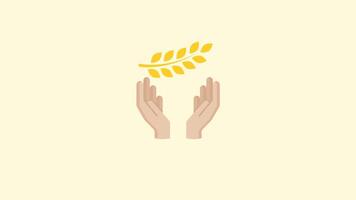 Animation of hand holding wheat. suitable for agricultural content, nature content or world farmer's day. 2d animation 4k. Transparent Background video
