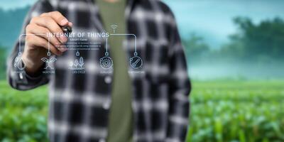 Smart Farm UI hologram system control, maintenance, displaying growth information Nutrients, fertilizers, water, insect pests of trees, plants, and vegetables, use technology in agriculture. photo