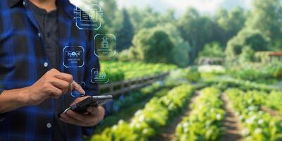 Smart Farm UI hologram system control, maintenance, displaying growth information Nutrients, fertilizers, water, insect pests of trees, plants, and vegetables, use technology in agriculture. photo
